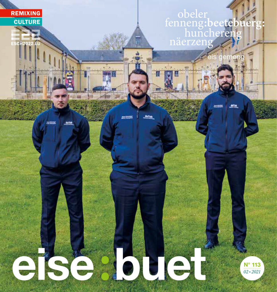 cover buet 113