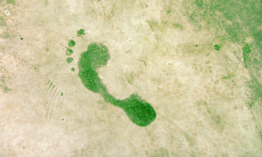 greenfootprint