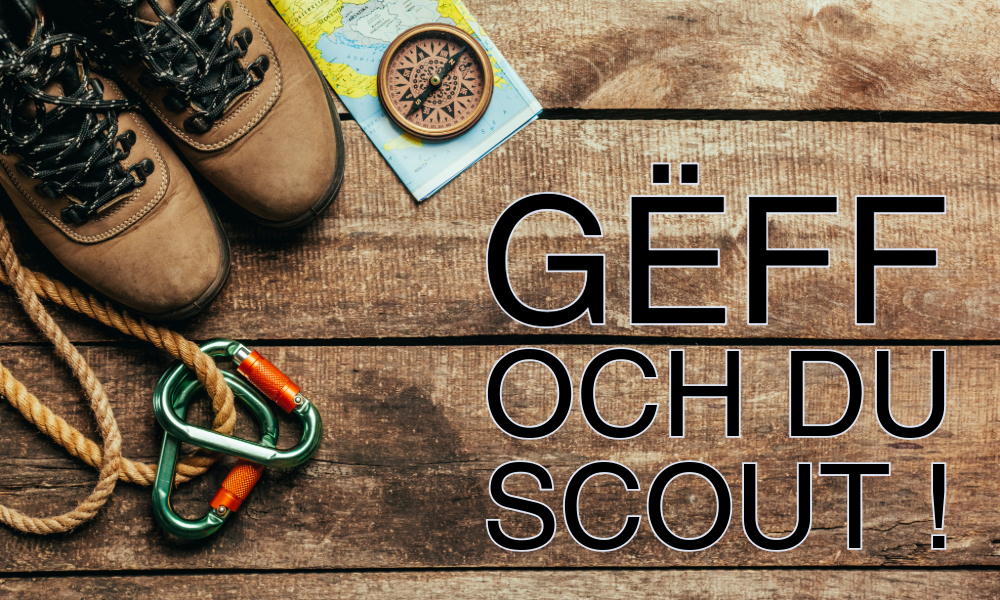 Scoutsrentrée