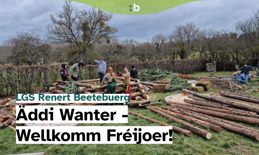 Buergfeier mat Fakelzuch