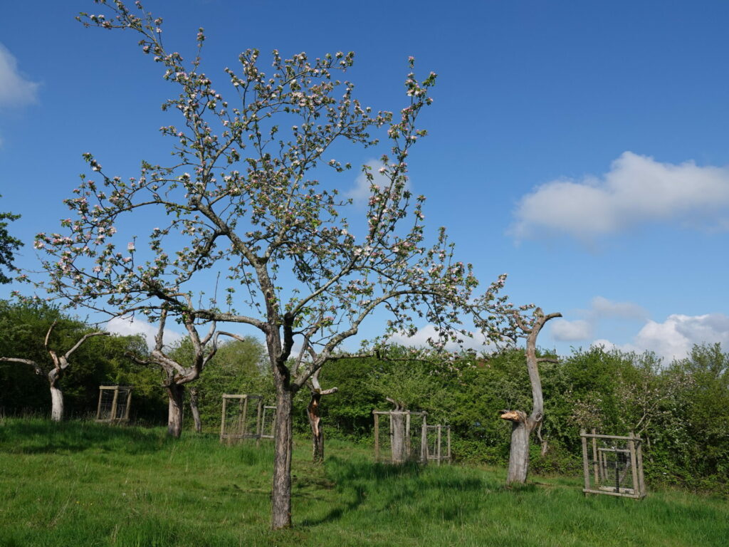 DSC01541_natur&ëmwelt