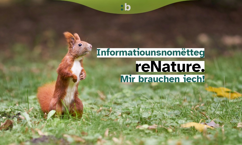 Natur Ambassadeure gesicht