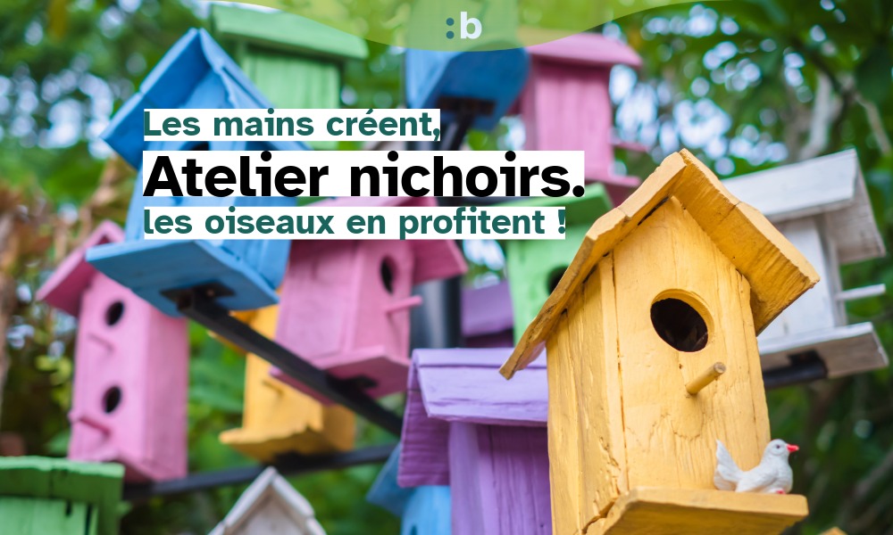 Atelier : Nichoirs à oiseaux