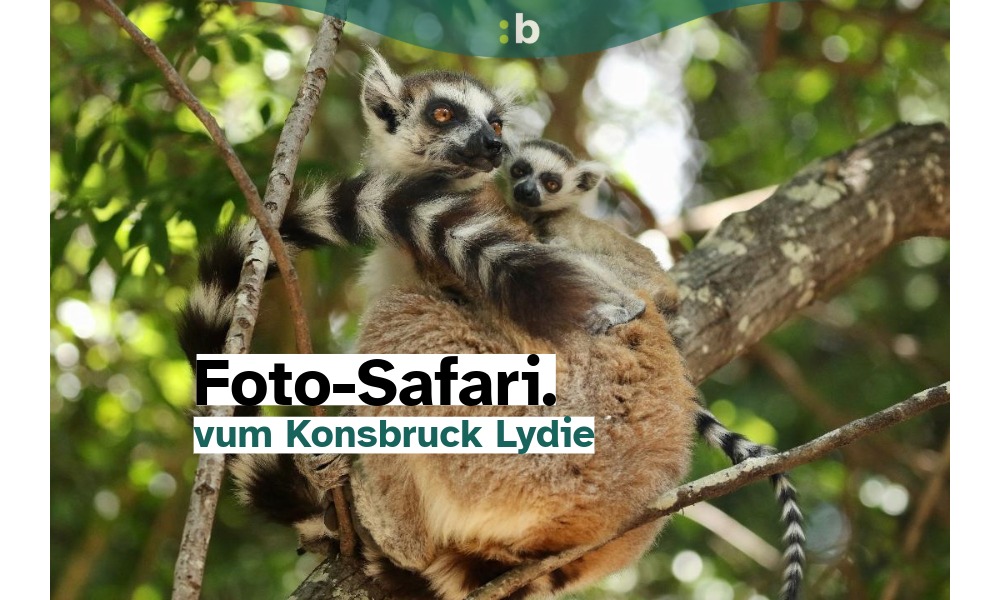 Eng Naturrees duerch Madagaskar