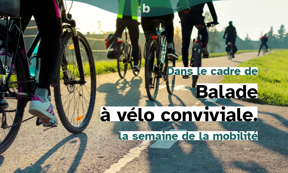 Tour à vélo (25 km)