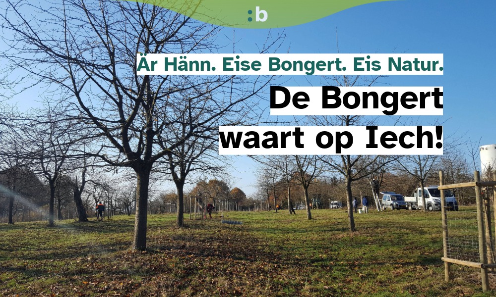 E Schaffdag am Bongert