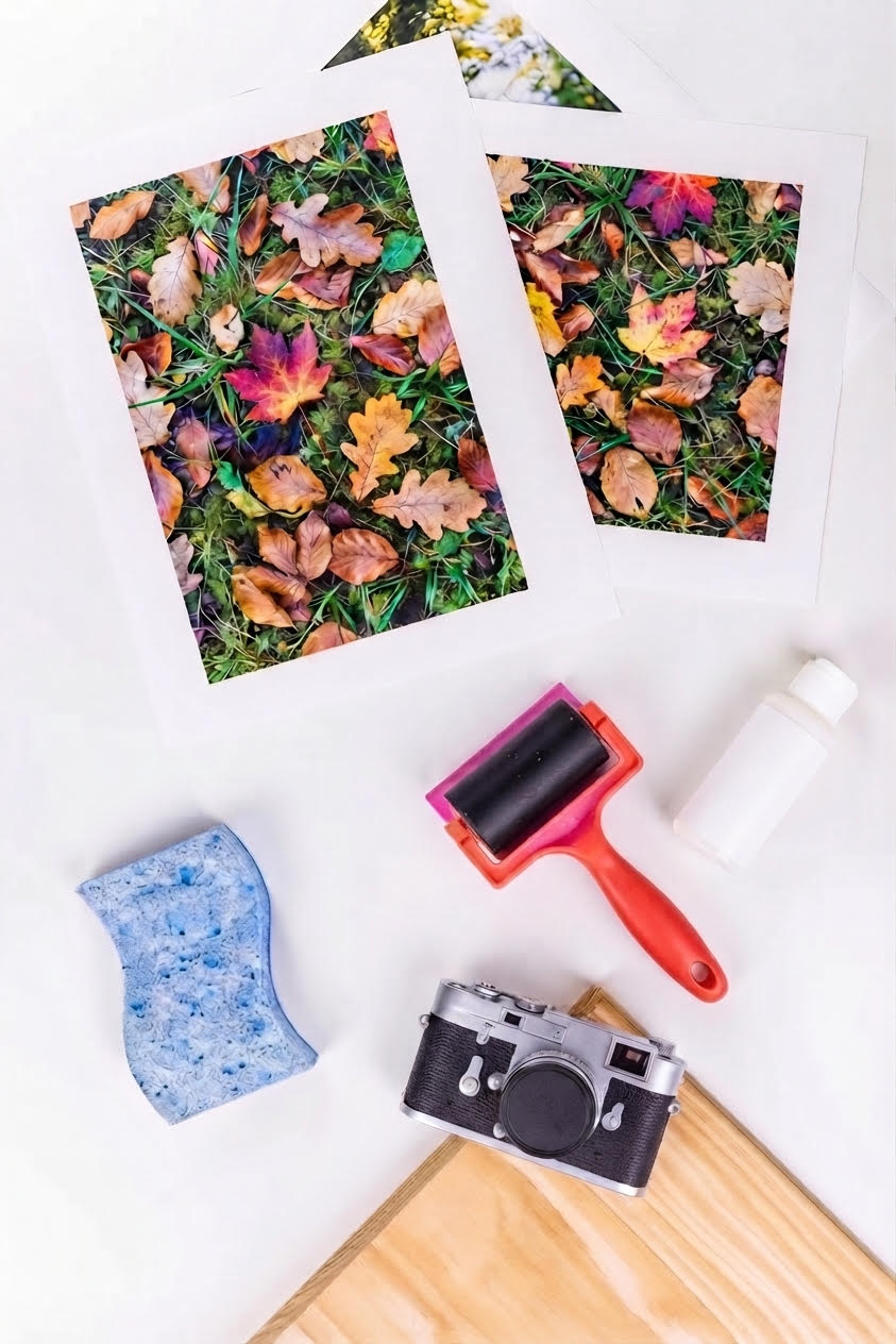 Workshop: Fotografie an Holztransfer