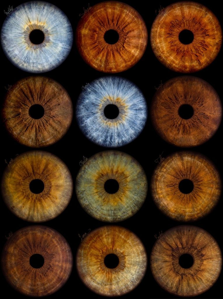 Workshop: Votre iris dans la Nuit des Lanternes
